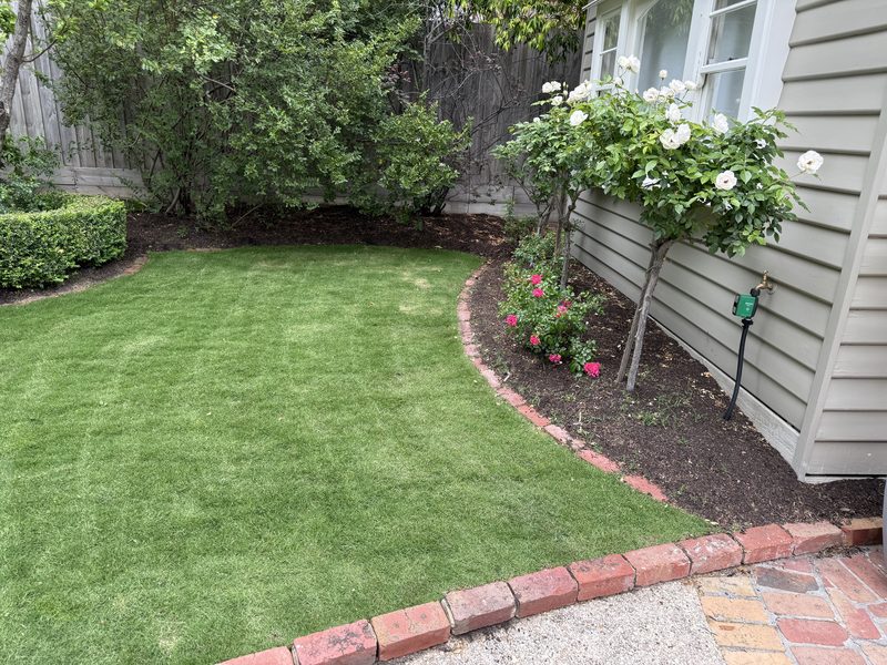 A lush lawn with rose garden beside a cottage