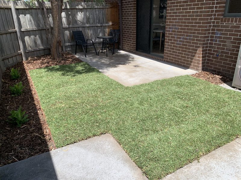 New lawn beside a paved patio area